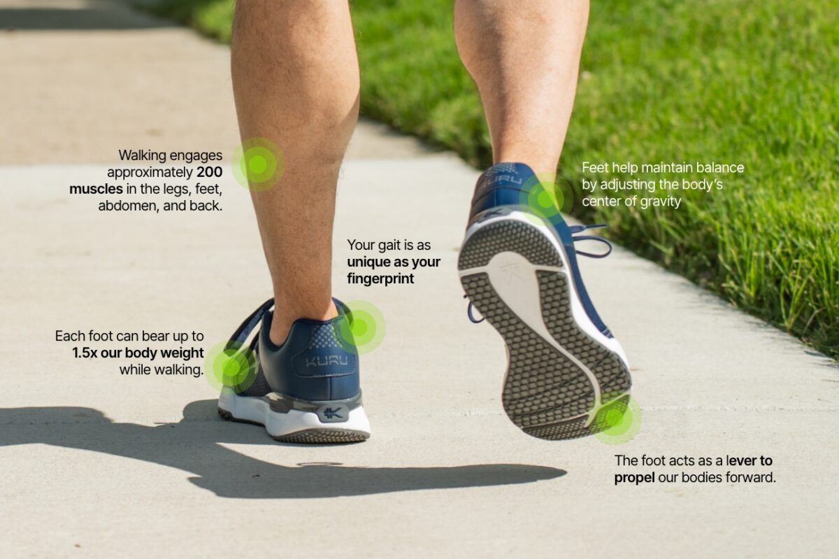 Learn more about foot function and mechanics.